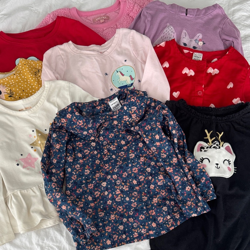 9 Toddler Top with Floral Design in Blue and Pink and more!